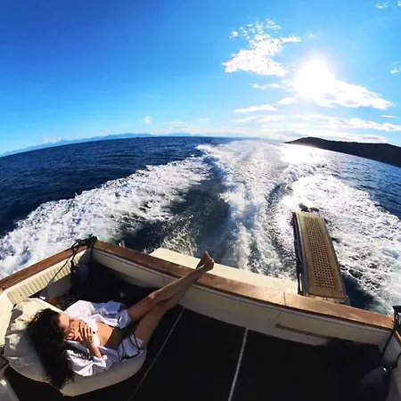 Our Cruises