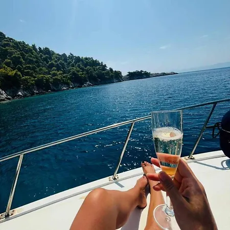 Our Cruises *