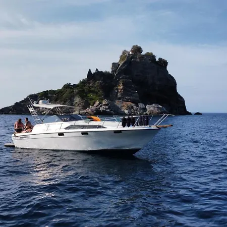 Our Cruises *
