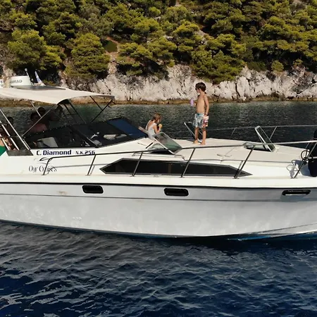 Our Cruises